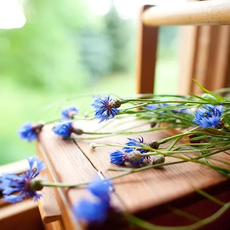 Holiday home Bahnwaerterhaus