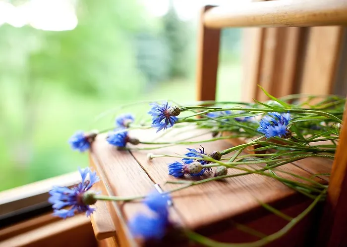 Сasa de vacaciones Bahnwaerterhaus
